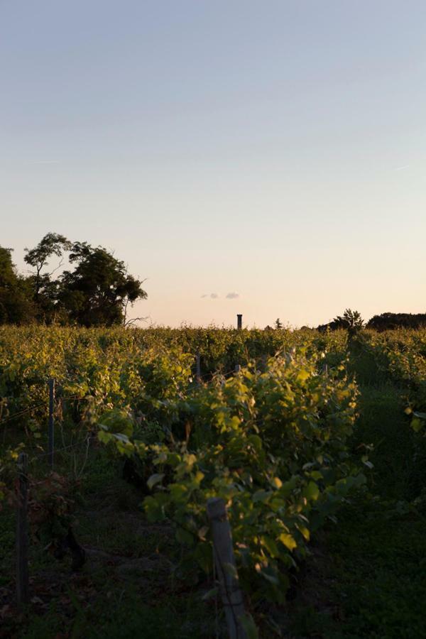 Gite De L'Oppidum Rochecorbon Zewnętrze zdjęcie